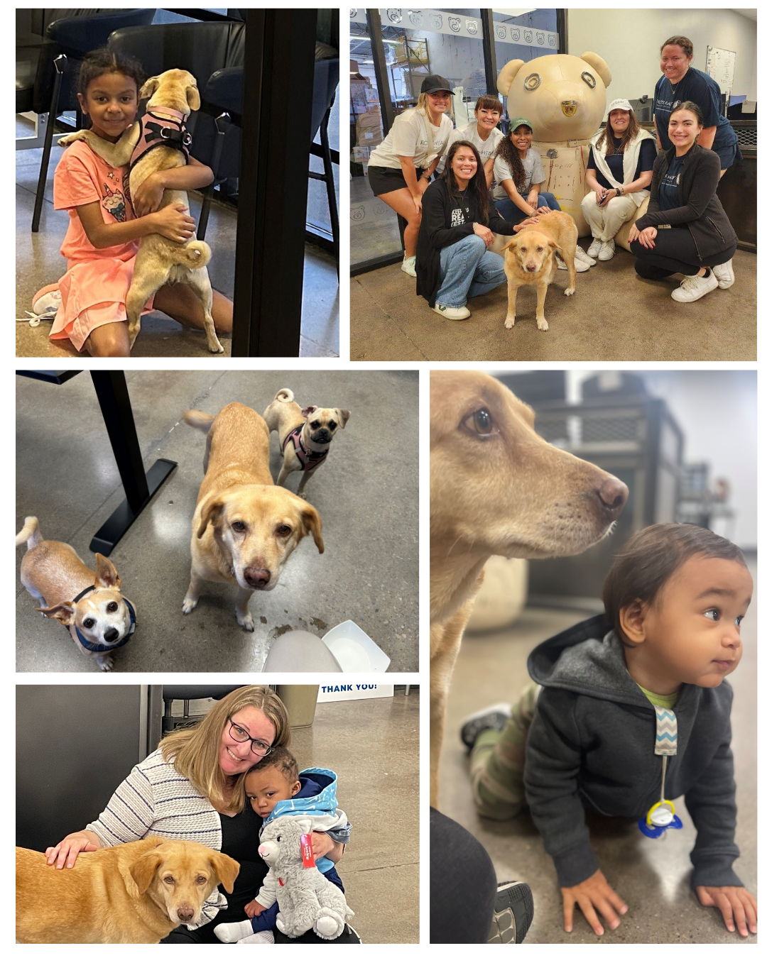Dogs Providing a Place of Hope